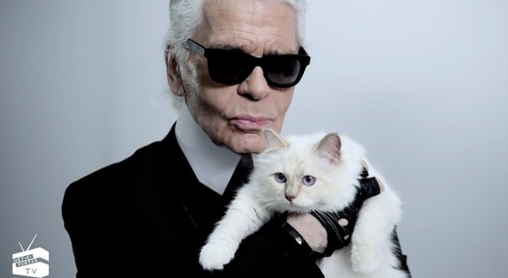 Takto Karl Lagerfeld pzoval pre Netaporter so svojou mačkou Choupette v časoch ke jej sláva ako najznámejšie mačacie modelky začínala stúpať