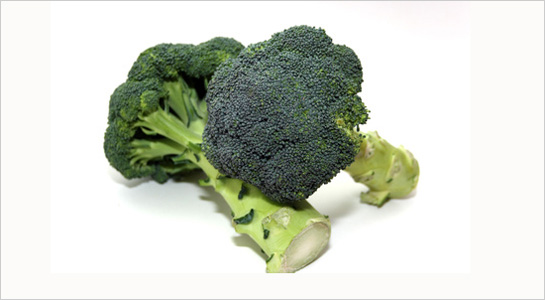 Brokolica